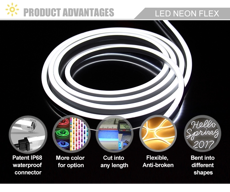 LED Neon strip.jpg