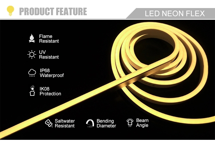 ultra bright led neon flex.jpg